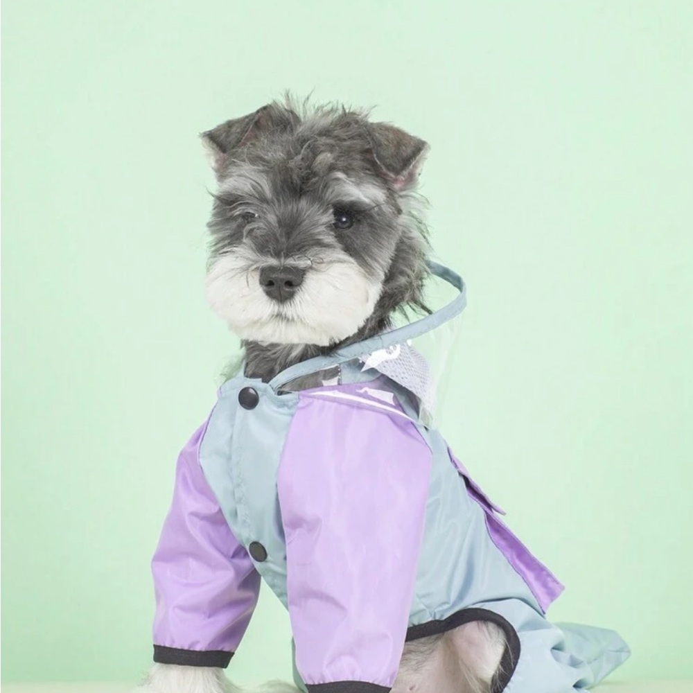 Stylish Purple and Gray Dog Raincoat